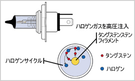 ハロゲンバルブ