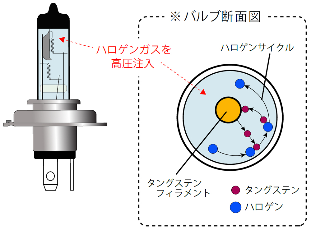 ハロゲンバルブ